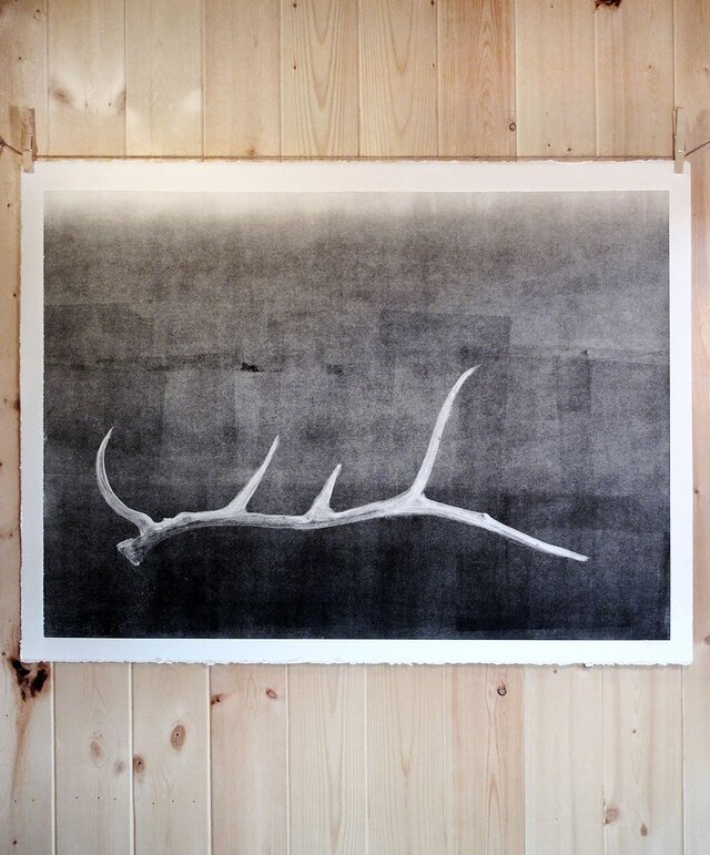pine-fort-press-shed-antler-study